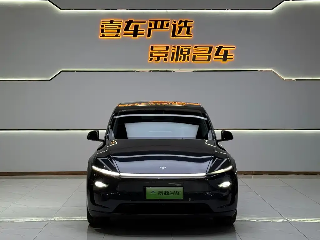 Tesla Model Y — фото 7