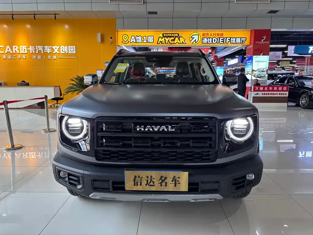 Haval Big Dog — фото 8