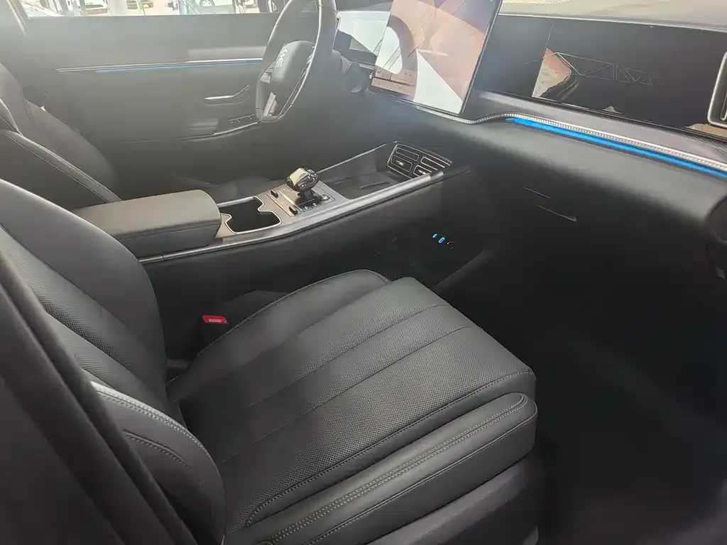 BYD Pro New Energy 2025 из CN, фото 5