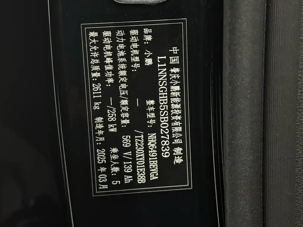 XPeng G9 2025 из CN, фото 4