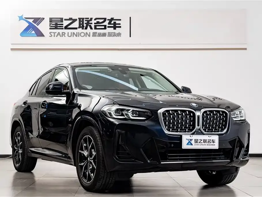 BMW X4 2024 из CN, фото 5