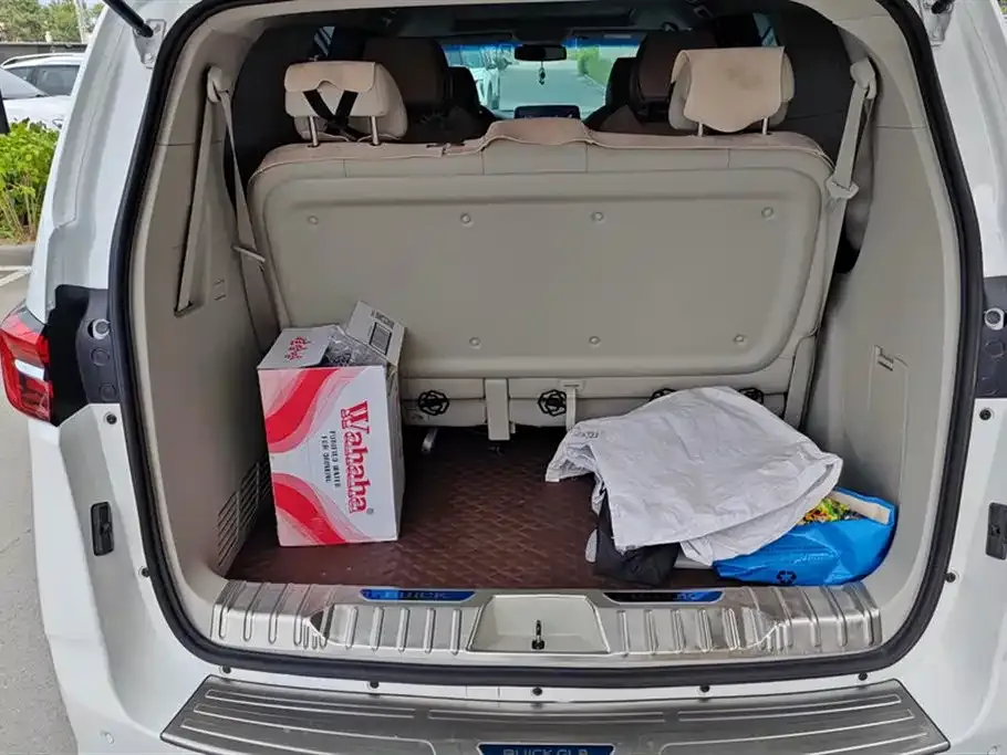Buick GL8 2021 из CN, фото 5