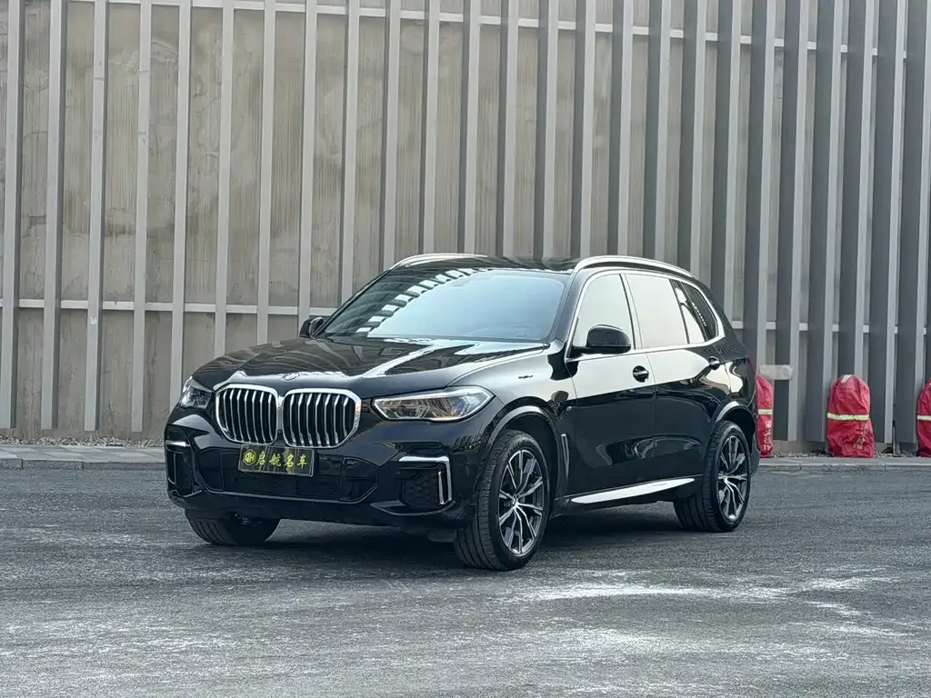 BMW X5 2022 из CN, фото 1