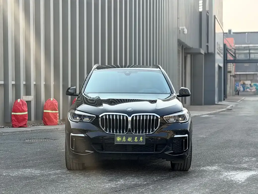 BMW X5 2022 из CN, фото 9