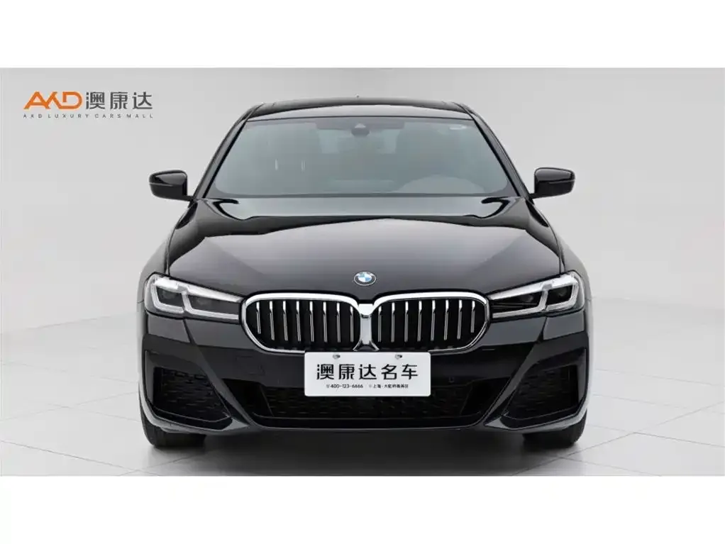 BMW 5 Series 2024 из CN, фото 6