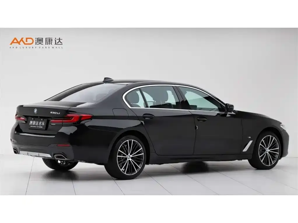 BMW 5 Series 2024 из CN, фото 8