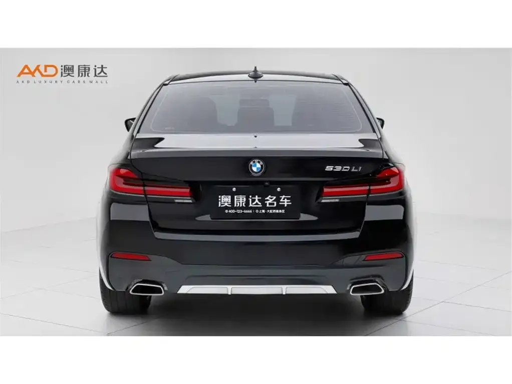 BMW 5 Series 2024 из CN, фото 10