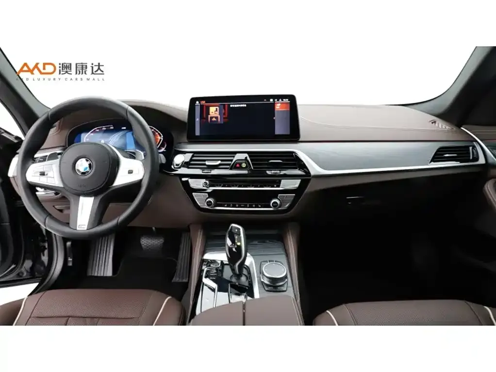 BMW 5 Series 2024 из CN, фото 3