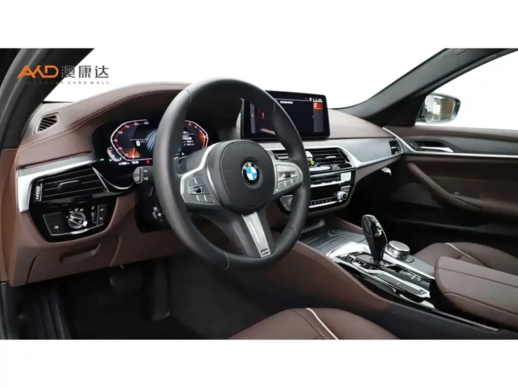 BMW 5 Series 2024 из CN, фото 4