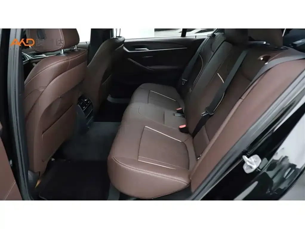 BMW 5 Series 2024 из CN, фото 7