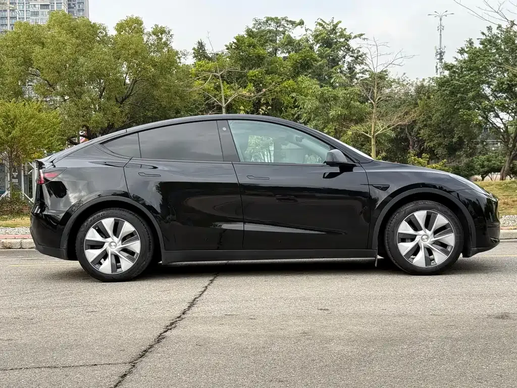 Tesla Model Y 2023 из CN, фото 7