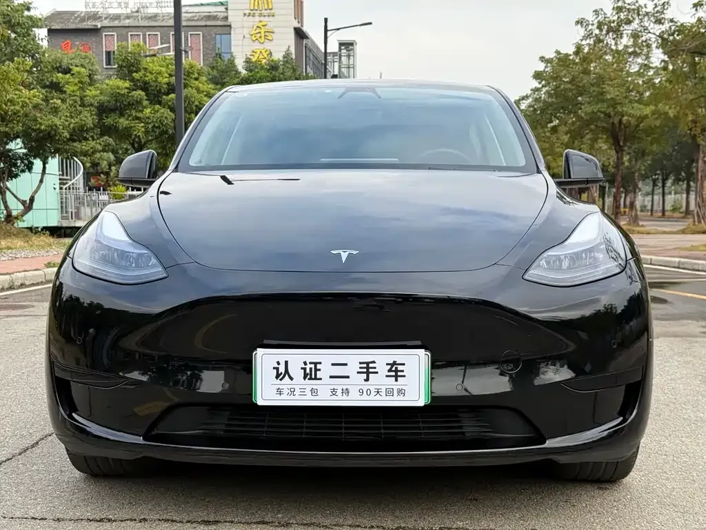 Tesla Model Y 2023 из CN, фото 6