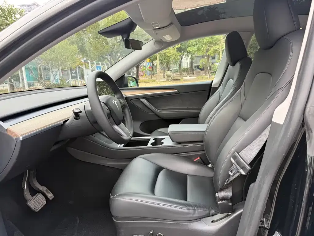 Tesla Model Y 2023 из CN, фото 4
