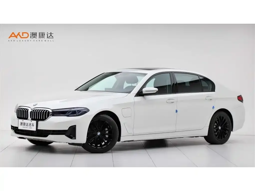 BMW 5 Series New Energy 2021 из CN, фото 1