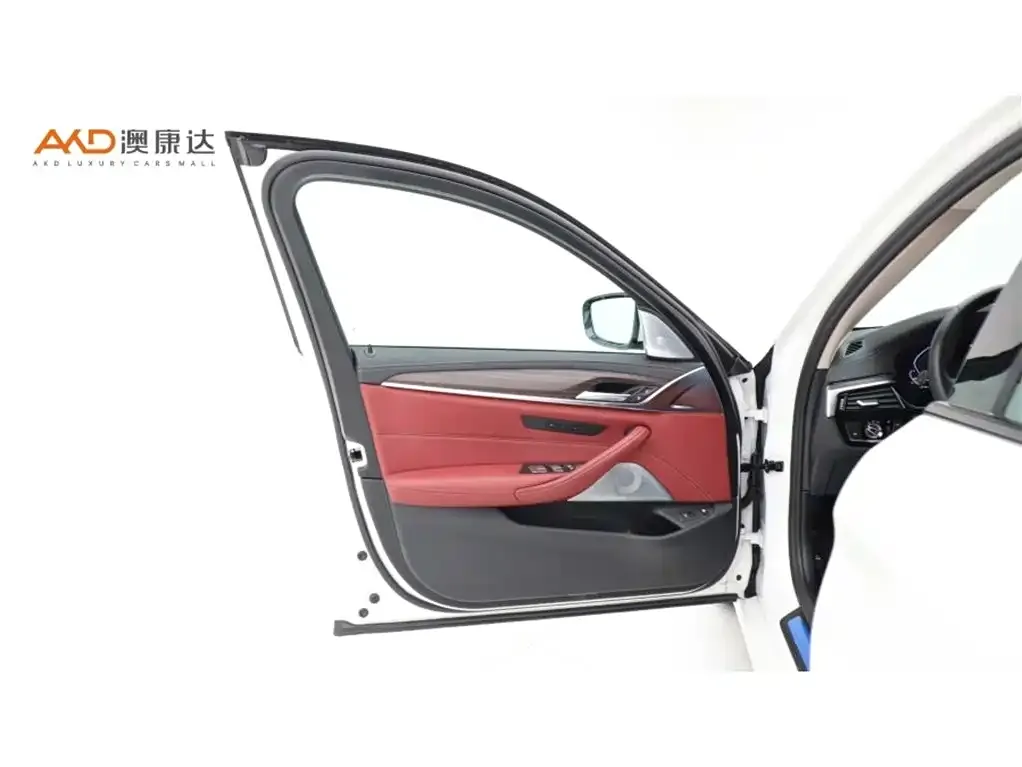 BMW 5 Series New Energy 2021 из CN, фото 10