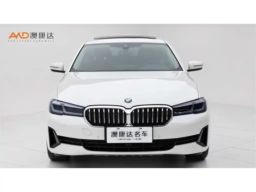 BMW 5 Series New Energy 2021 из CN, фото 8