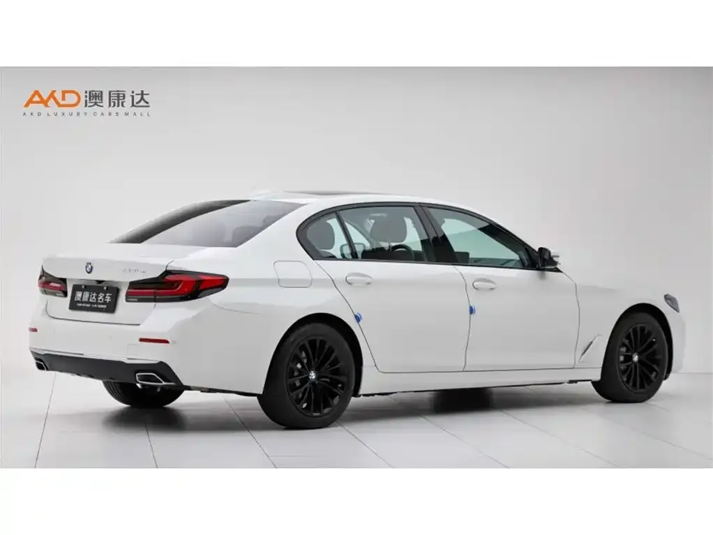 BMW 5 Series New Energy 2021 из CN, фото 2