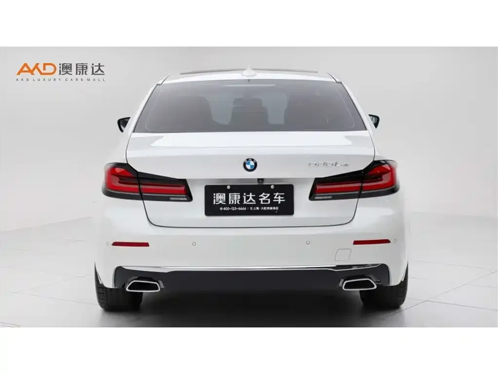 BMW 5 Series New Energy 2021 из CN, фото 4