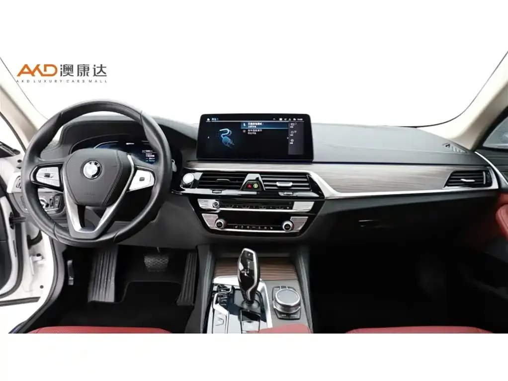 BMW 5 Series New Energy 2021 из CN, фото 3