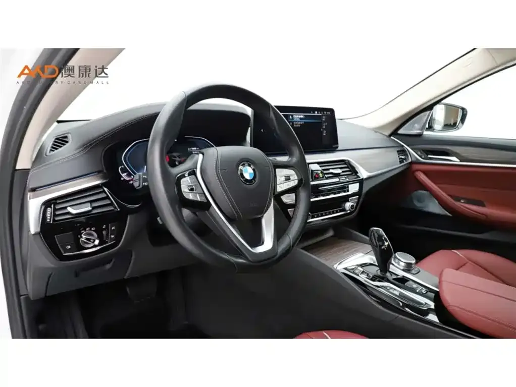BMW 5 Series New Energy 2021 из CN, фото 6