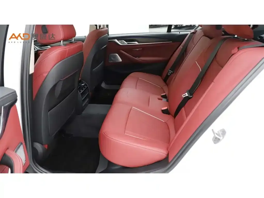 BMW 5 Series New Energy 2021 из CN, фото 9