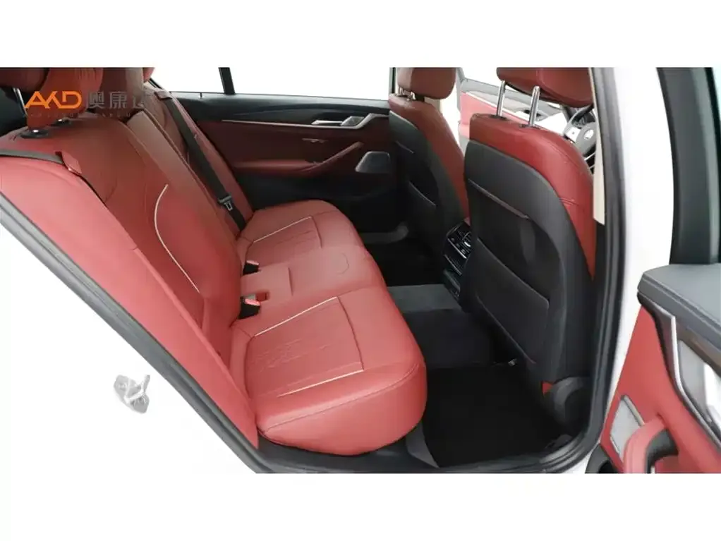 BMW 5 Series New Energy 2021 из CN, фото 7