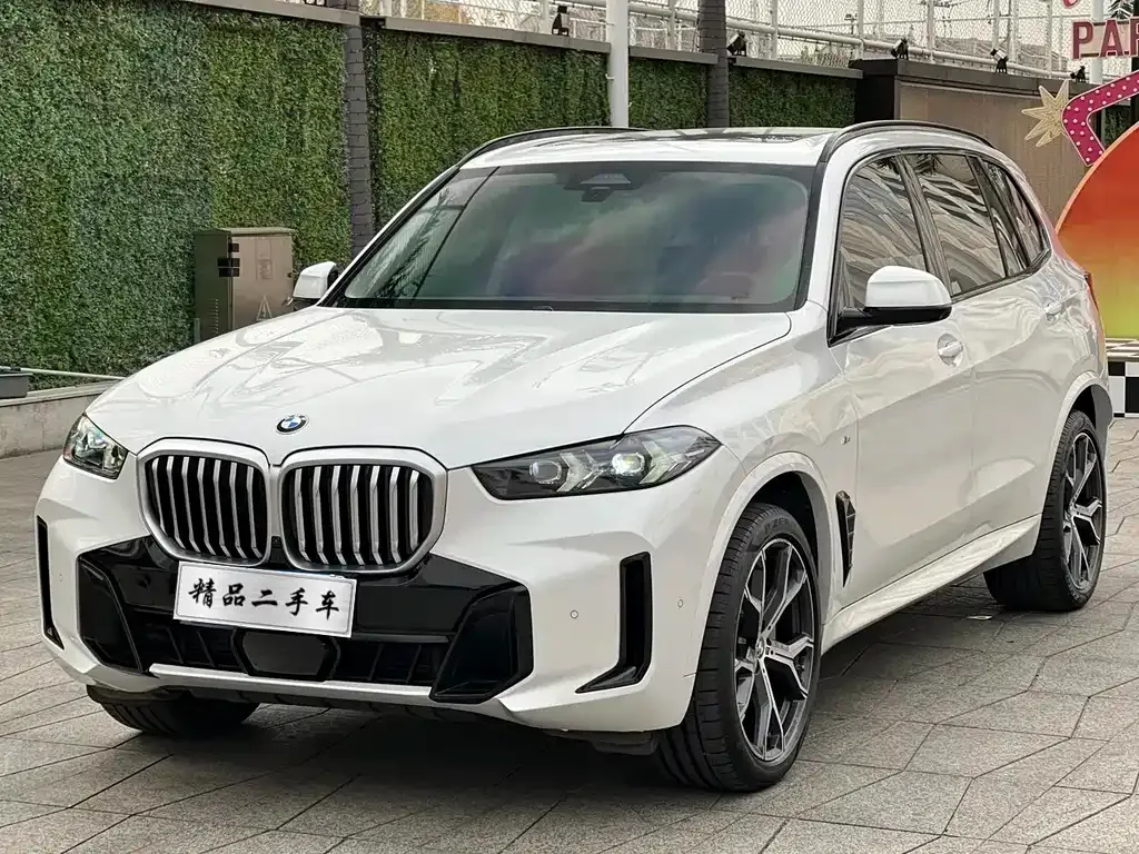 BMW X5 2024 из CN, фото 1