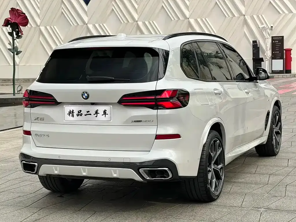 BMW X5 2024 из CN, фото 7