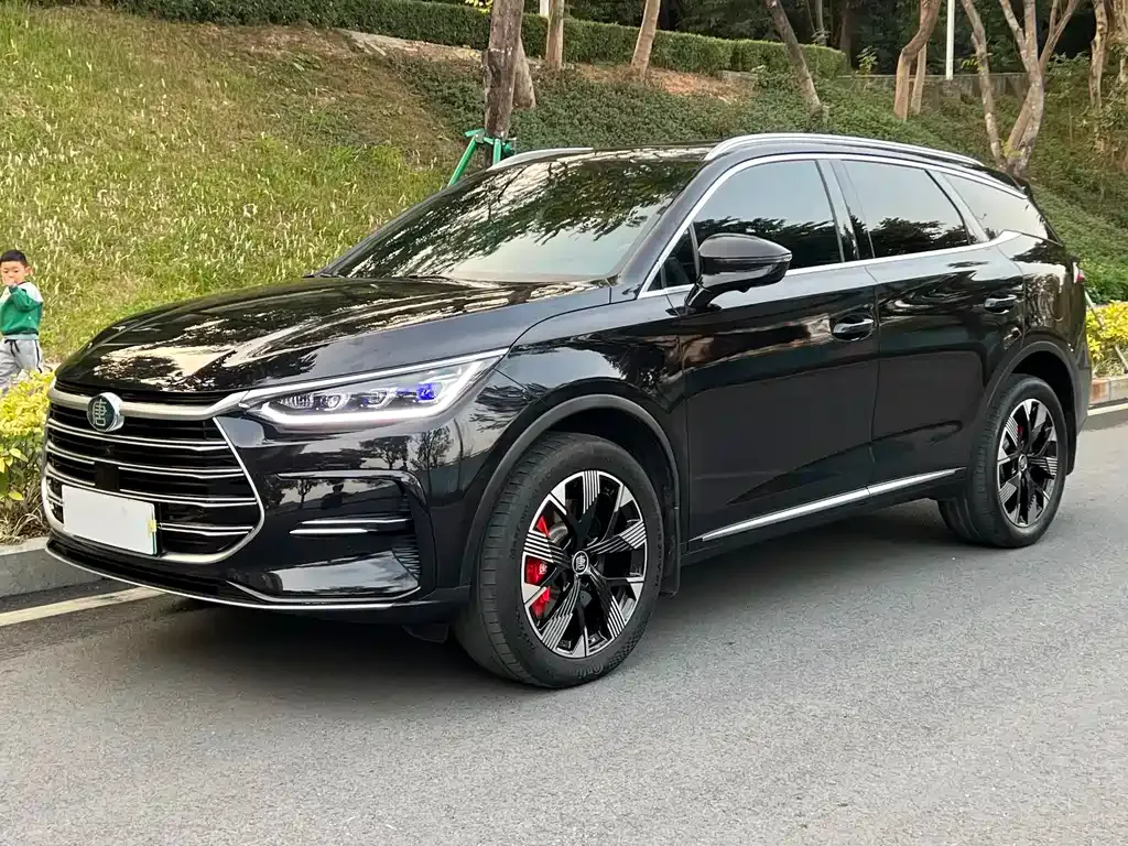 BYD Tang New Energy 2023 из CN, фото 1