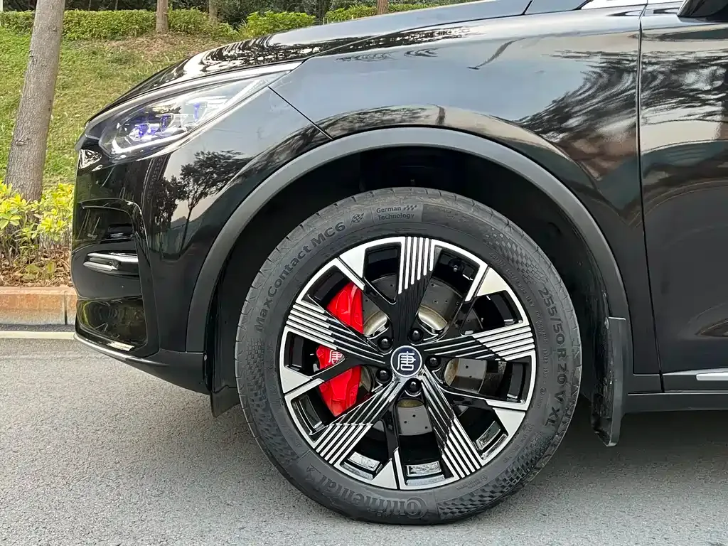 BYD Tang New Energy 2023 из CN, фото 6