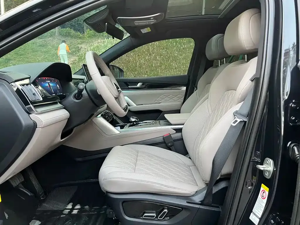 BYD Tang New Energy 2023 из CN, фото 2