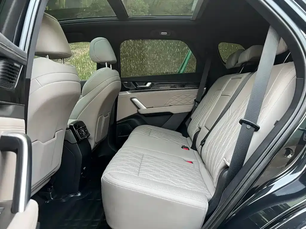 BYD Tang New Energy 2023 из CN, фото 7