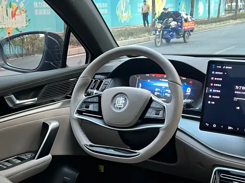 BYD Tang New Energy 2023 из CN, фото 4