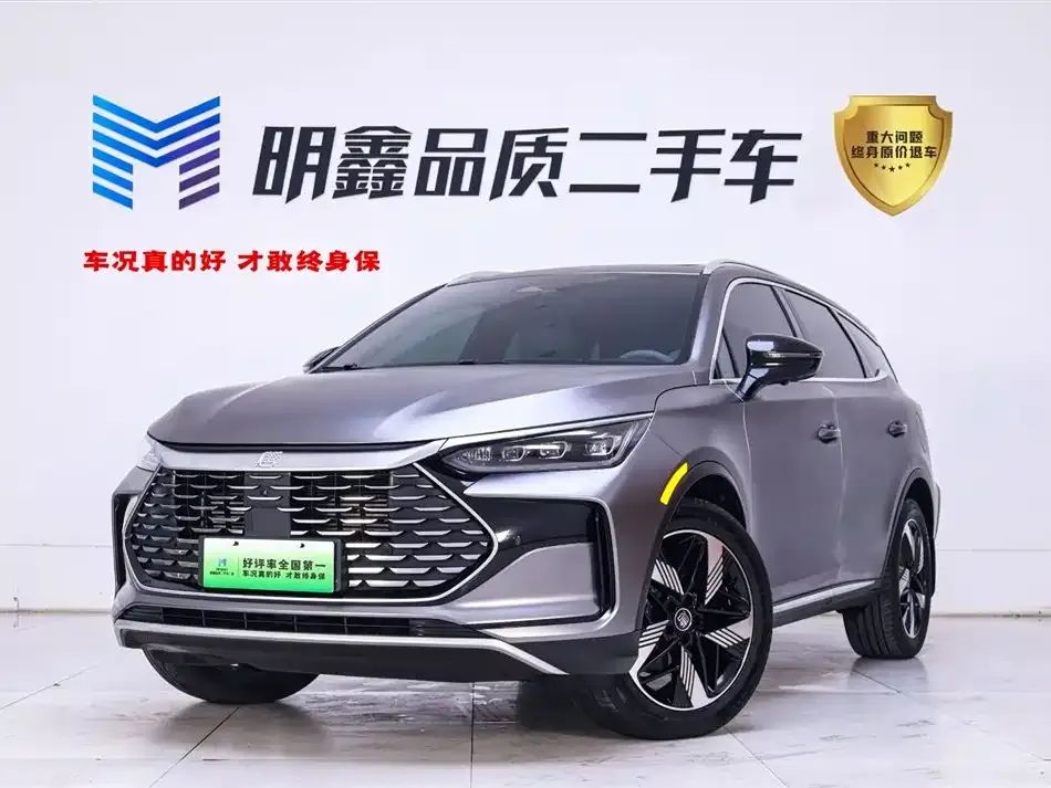 BYD Tang New Energy — фото 1