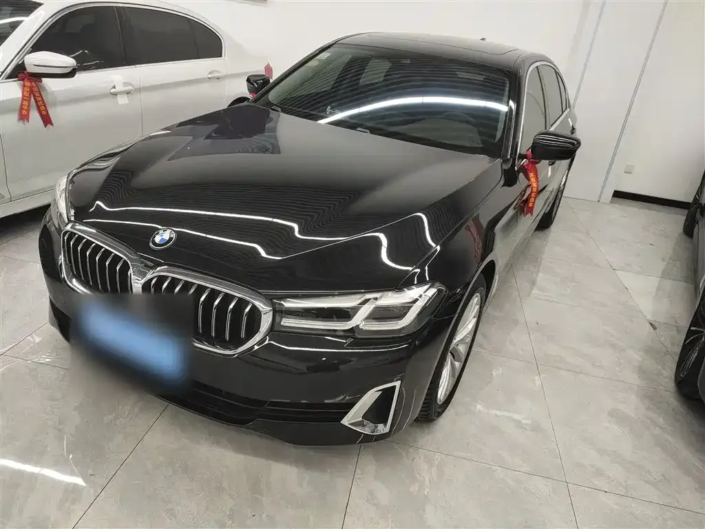 BMW 5 Series 2021 из CN, фото 8