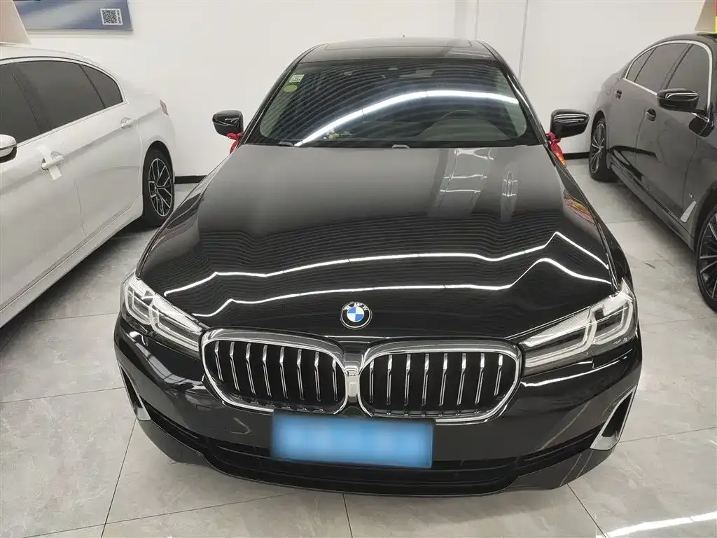 BMW 5 Series 2021 из CN, фото 3