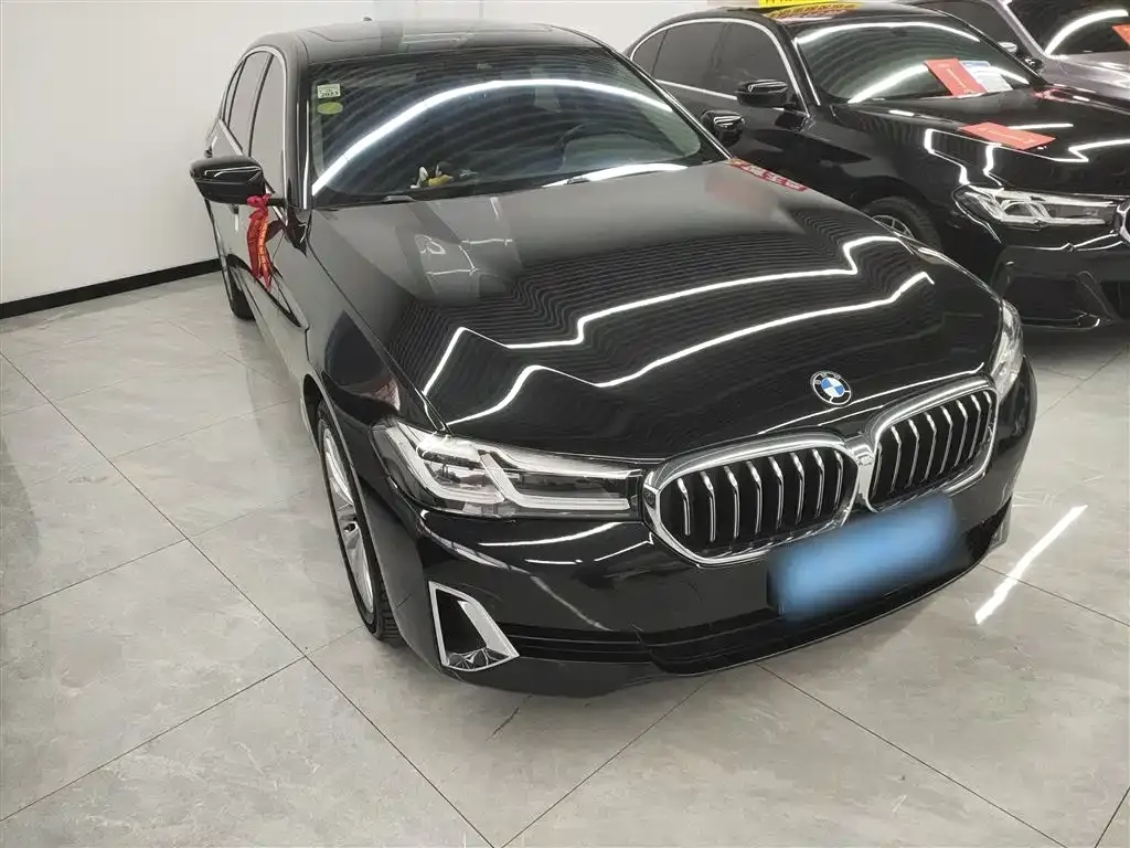 BMW 5 Series 2021 из CN, фото 9