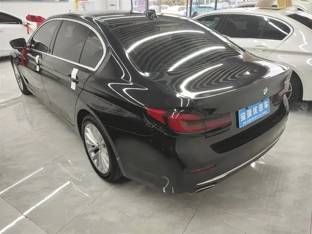 BMW 5 Series 2021 из CN, фото 5
