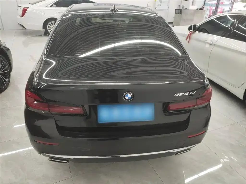 BMW 5 Series 2021 из CN, фото 6