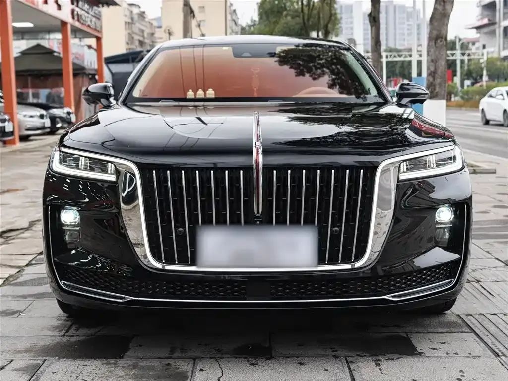 Hongqi H9 2021 из CN, фото 8