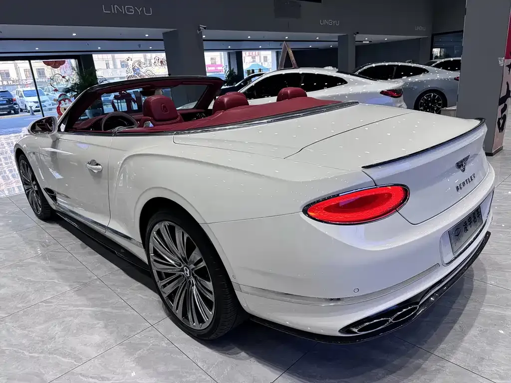 Bentley Continental 2022 из CN, фото 8