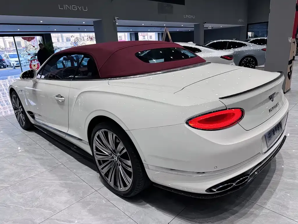 Bentley Continental 2022 из CN, фото 6