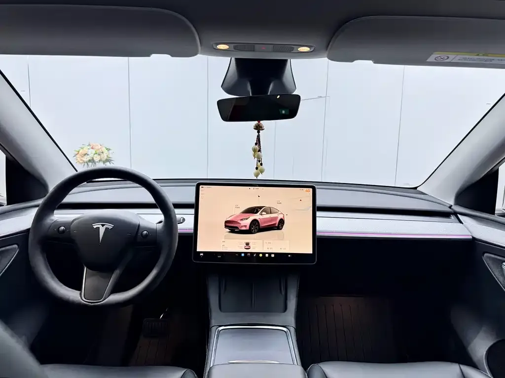 Tesla Model Y — фото 8