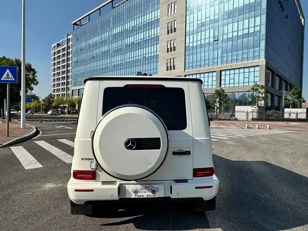 Mercedes-Benz G-Class 2021 из CN, фото 4