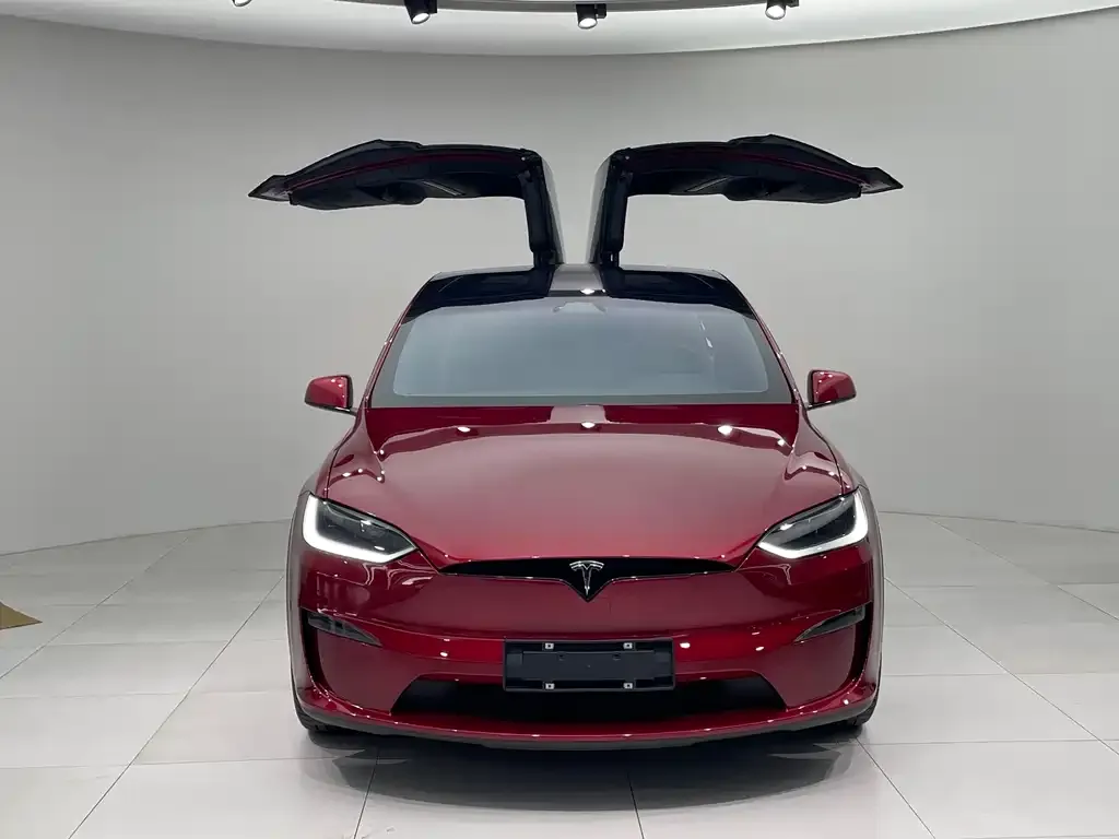 Tesla Model X 2024 из CN, фото 7