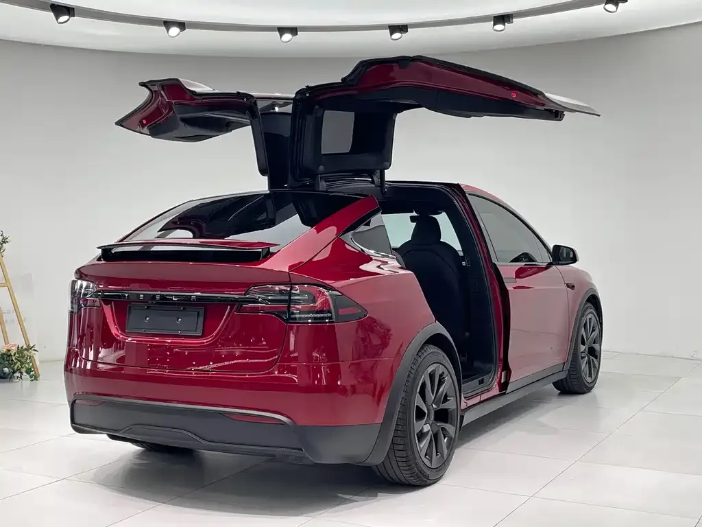 Tesla Model X 2024 из CN, фото 3
