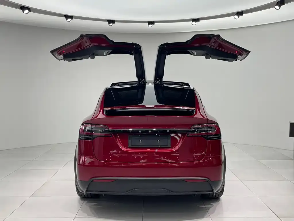 Tesla Model X 2024 из CN, фото 4