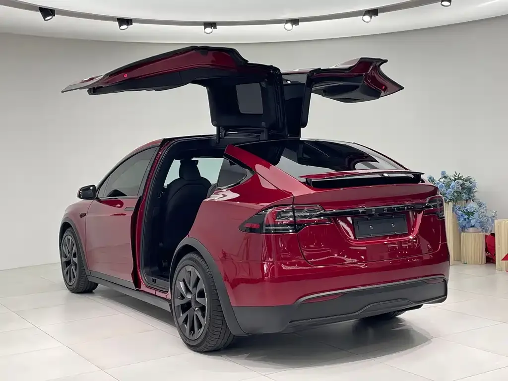 Tesla Model X 2024 из CN, фото 6