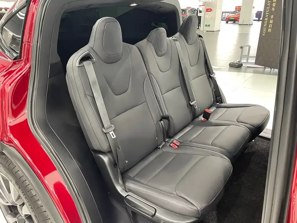 Tesla Model X 2024 из CN, фото 10