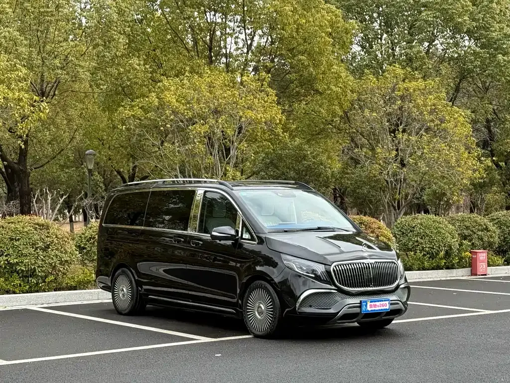 Mercedes-Benz V-Class 2023 из CN, фото 1